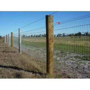 Galvanized Steel Wire Mesh Fence Animal field fence cost Zoo Wild Fencing Roll