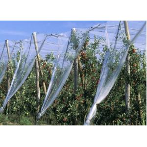 China HDPE Single Filament Insect Mesh Netting For Nursery Pots Size Customized supplier
