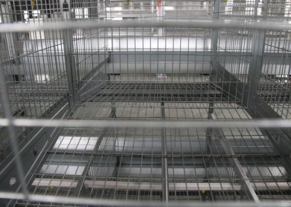High Efficient Automatic Egg Collection System Harvest Conveyor System