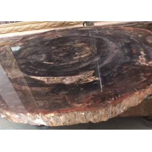 China Polished Brown Natural Semi Precious Stone Slabs Petrified Wood supplier