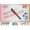 China С-А-Т впрыска для топлива 4W7016 130-1804 0R-1747 0R-8787 0R-4124 0R-3591 0R-3423 0R-8785 wholesale