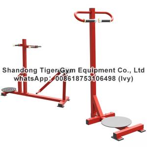 China Gym Fitness Equipment Stand Torso exercise machine supplier