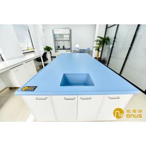 Monolithic Epoxy Resin Laboratory Countertop and undermount sink With Bevel Edge And Chemical Resistance