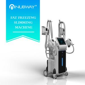 2500w big power standing cryolipolysis with 4 different size handles for whole body and double chin treatment