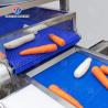China Enhance Your Production with Our State-of-the-Art Fruit And Vegetable Processing Line fruit and vegetable processing machinery wholesale