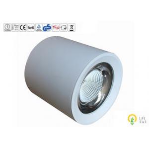 White LED Plant Light 380-800nm Wavelength For Indoor And Outdoor Home Garden