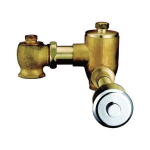 Home CE Brass Toilet Flush Valves , Self Closing Conceal Installation Flushers