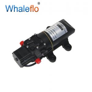 China Whaleflo FLO Series High Pressure 80 PSI DC Diaphragm Self Priming Sprayer Pump for Caravan Wash Home Cleaning wholesale