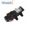Whaleflo 2 Diaphragm Pumps 24 VOLTS 80psi 4.0LPM Agriculture Power Sprayer
