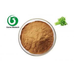 100% Pure Natural Celery Apium Root Extract Powder