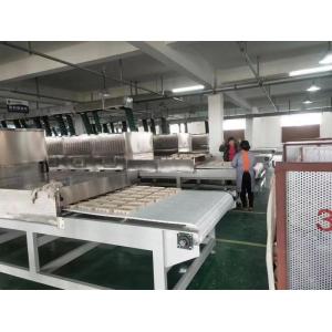 Industrial Microwave Vacuum Dryer For Lunch Box Paper Tray Card board