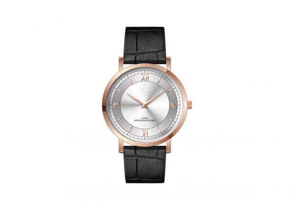 Interchangeable Strap Stainless Steel Quartz Dress Watch SS Back Cover