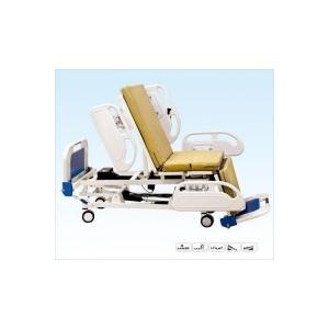 China DA-10-1 Multi-function Electric Patient Bed/ Medical/ Hospital / 3pcs Electro-motor supplier