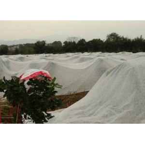 China Ground Cover PP Agriculture Non Woven Fabric Soil Moisture Distribution supplier