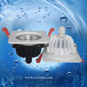 China 10W Waterproof/ bathroom IP65 10W interchangable bezel fire rated LED downlight supplier