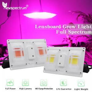 High Brightness LED Chip 110V 220V 50W LED Grow Plant Lights Full Spectrum For Exceptional Lighting Performance -20- 50℃