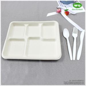 China 100% Biodegradable Sugarcane Pulp 5 Compartments Tray-High quality Biodegradable food tray For birthday parties supplier