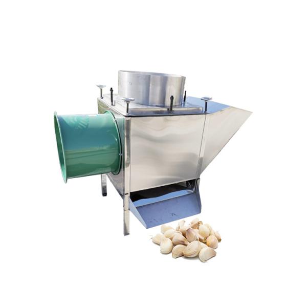 large capacity Garlic splitting machine garlic cloves separator garlic separate bulb breaker machine