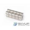 Diameter 8x30mm Long Bar Cylinder Powerful Nickel Coated Neo Magnet