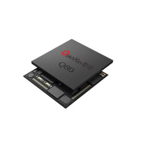 China QX81M32Q88 ASIC Qian Core Iris Recognition Chip – Full-Interface High-Speed Flagship Iris Verification Core wholesale