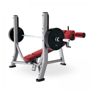 China Commercial Weight Bench Rack , Folding Bench Press Rack Full Range Motion Movement supplier