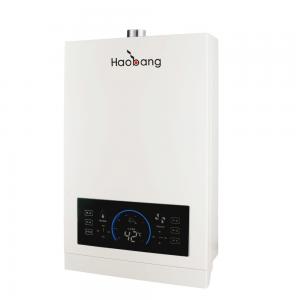 Constant Temperature Gas Water Heater Wall Mounted For Shower