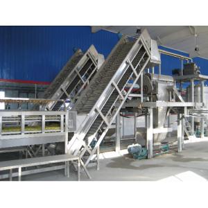 China 380V 2T/H Stainless Steel Mango Pulp Production Line supplier