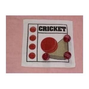 Cricket Ball Design Compressed Towel as YT-617