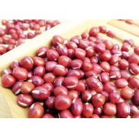 China Edema Reduction Main Agricultural Products Vigna Umbellata Red Adzuki Beans on sale