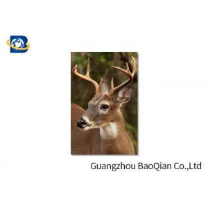 Animal Lenticular Greeting Cards , Deer 3D Greeting Cards For Christmas / New Year