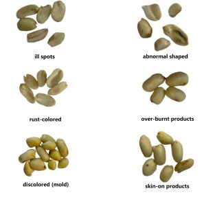 China KMAT Advanced AI Image Sorting Peanut Sorter wholesale