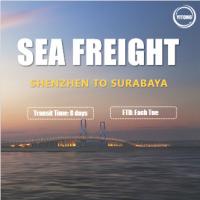 Frete de mar internacional de Shenzhen à taxa competitiva de Surabaya Indonésia