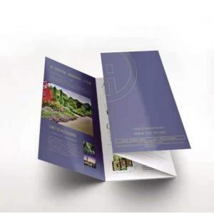 China Advertising Business Trifold Brochure Full Color Fancy Tri Fold Flyer supplier