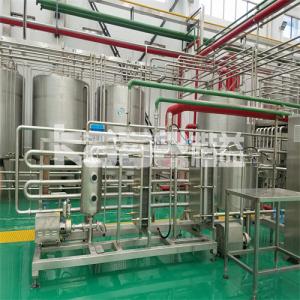 China Automatic Berry Juicer Machine Citrus Berries Greens Processing Lettuce Washer Vegetable Washing Machine supplier