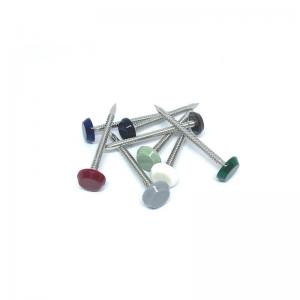 China Nylon PA6 Stainless Steel 304L Plastic Head Pins Polished supplier
