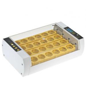Yellow 50Hz Fully Automatic Digital Egg Incubator , Egg Incubator Machine