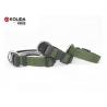 China Polyster Nylon Dog Collars High - Impact Plastic Buckle With Green Color wholesale