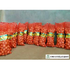 China ISO / HACCP Standard Fresh Onions Supply Time May To Next February supplier
