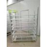 Dutch Trolley Shelves CC Roll Container Nursery Trolley Cart Greenhouse Grow