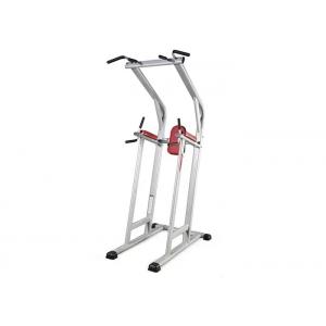 Life Fitness Commercial Gym Equipment Strength Assisted Chin Dip Leg Raise Machine