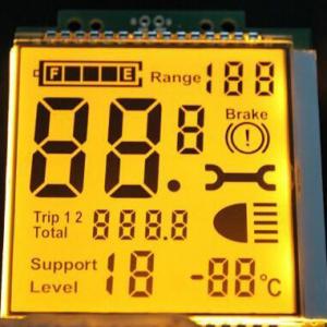 China 2.8V-5.5V TN LCD Display / Temperature Segment Code LCD Electronic Display supplier