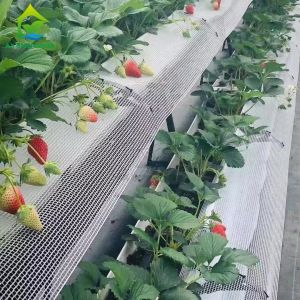 China Multilayer Structure A-frame PVC Planting Troughs Greenhouse Strawberry Growing wholesale
