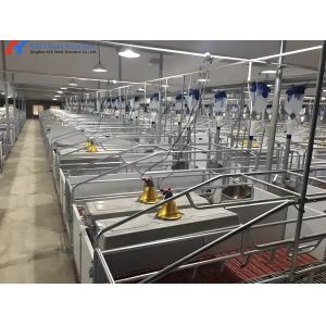 Galvanized Pig Farrowing Crates Piggery Equipment Sow Farrowing Bed