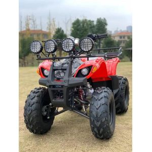 China Atv à quatre roues motrices Beach Buggy 4x4 1000cc supplier