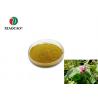 China Plant Pogostemon Cablin Extract , Pogostemon Cablin Powder 80 Mesh wholesale
