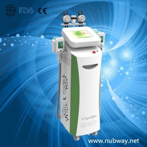 China Newest fast amazing result cryolipolysis fat burning machine to lose weight supplier
