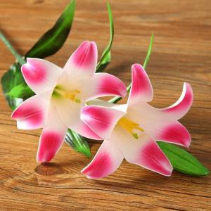 China Personalised Preserved Fresh Flowers Silk Stargazer Lily Home Furnishings supplier