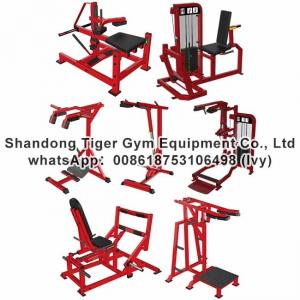 Gym Fitness Equipment Seated / Stand Calf Raise / Super Horizontal / Standing / Horizontal Calf exercise machine