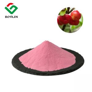 Wholesale Pure Natural Fruit Powder Organic Acerola Cherry Powder