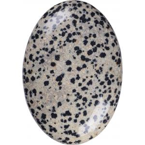 China Polished Dalmatian Jasper Palm Stone Used To Decorate Buildings supplier